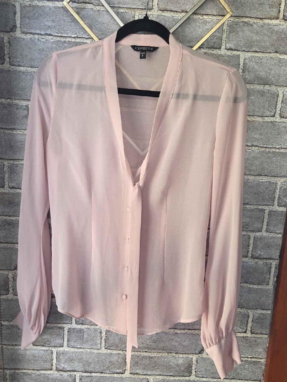 Express Light Pink Sheer V-Neck Button Blouse